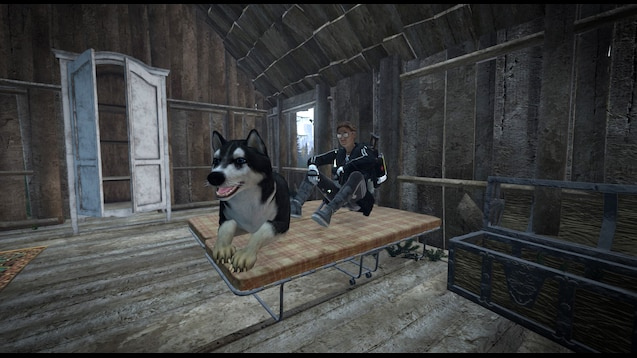 Dog inside a shelter