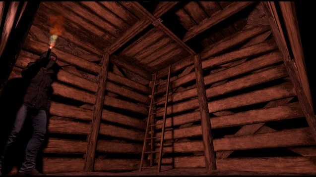 Interior ladder access